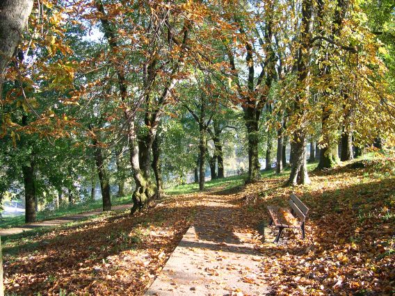 Sentier d'accès à la citadelle